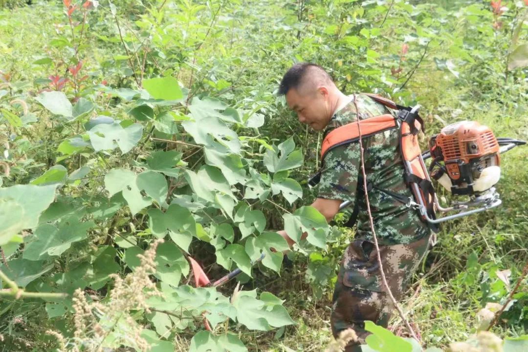 1691376053802027.jpg 2.jpg