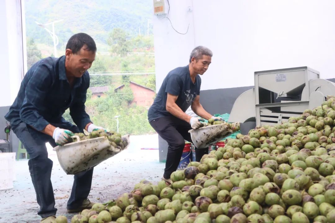 1691376341831490.jpg 8.jpg