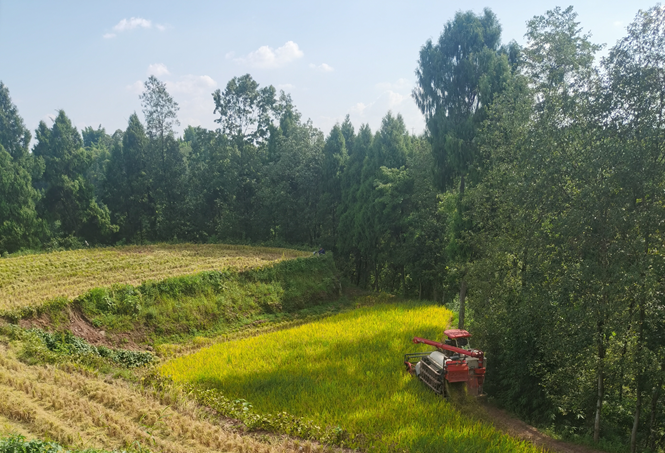 1693184896737154.png 1.png