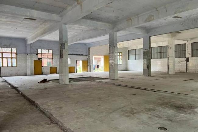 1735782053114296.jpeg 18.jpeg