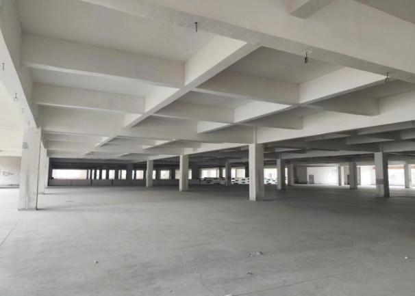 1735891582106878.jpeg WPS圖片(1).jpeg